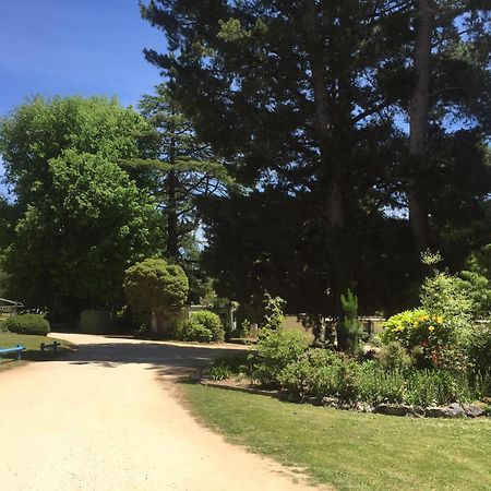 Daylesford Holiday Park Kültér fotó